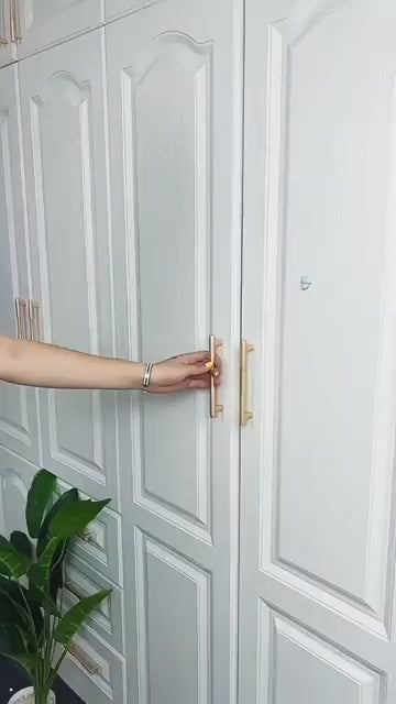 Multipurpose Wall-Mounted Cabinet Storage Organizer